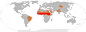 Meningitis-Epedemics-World-Map